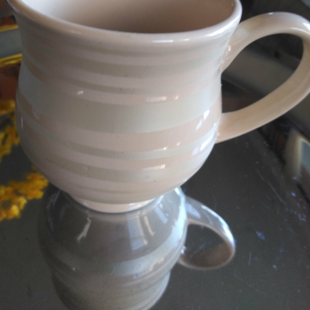 Temp-tations mug.